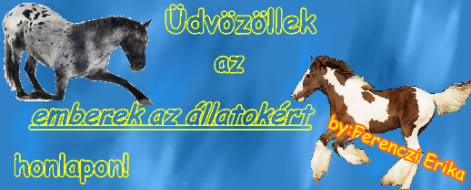 udvozollek.png